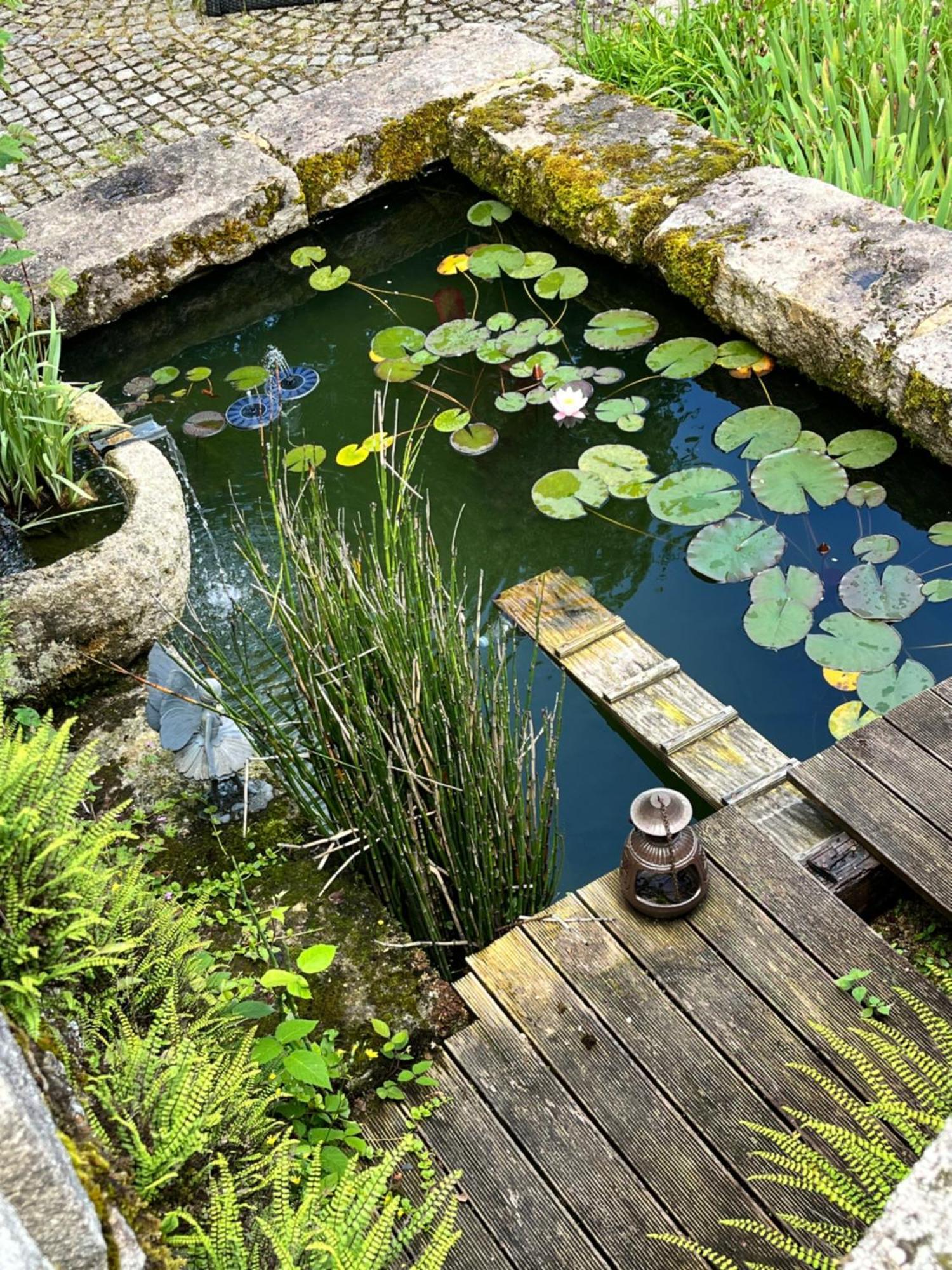 Chez Jallot Vidaillat Bagian luar foto
